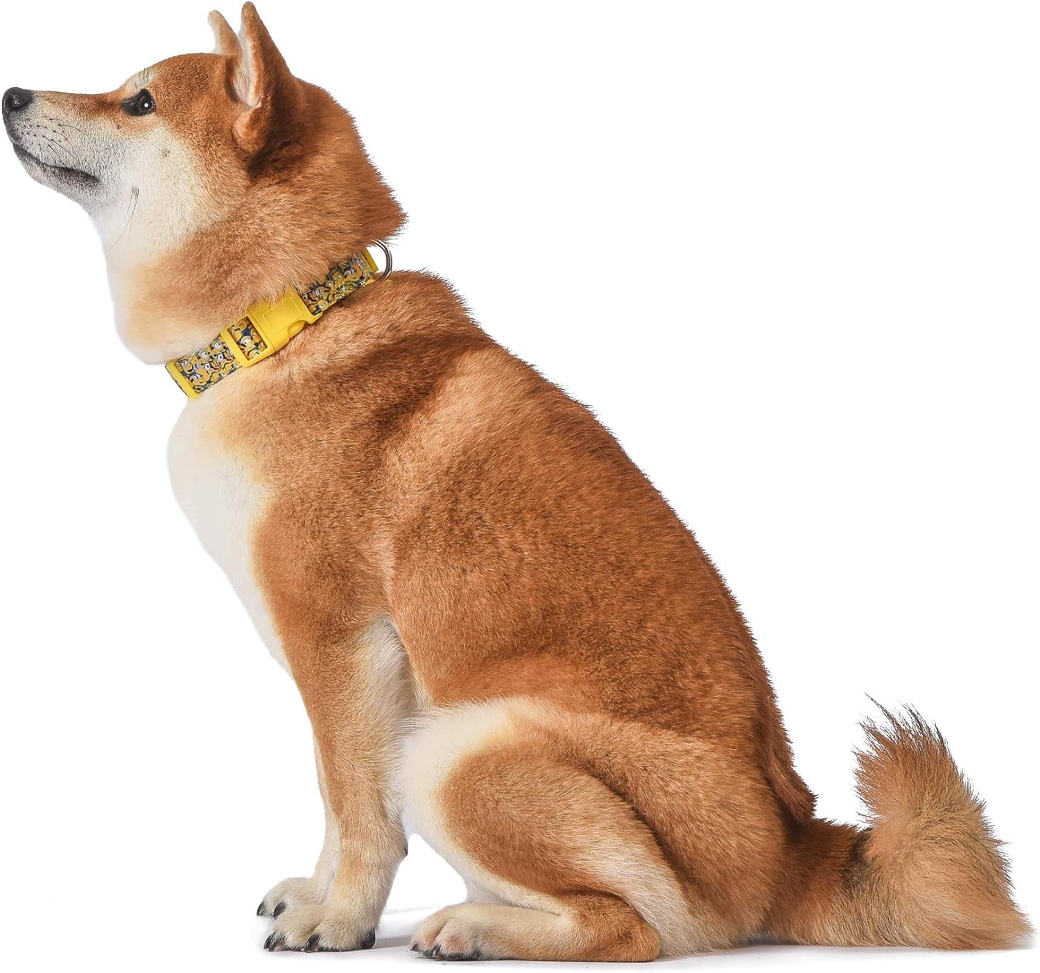 the Rise of Gru Large Dog Collar | Large Yellow Dog Collar More than a Minion | Dog Collar for Large Size Dogs with D-Ring, Cute Dog Apparel & Accessories for Pets