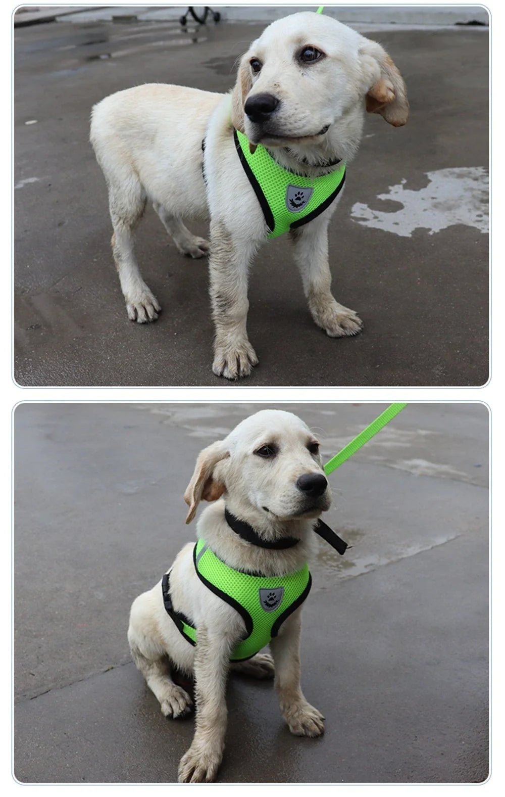 Reflective adjustable pet harness 