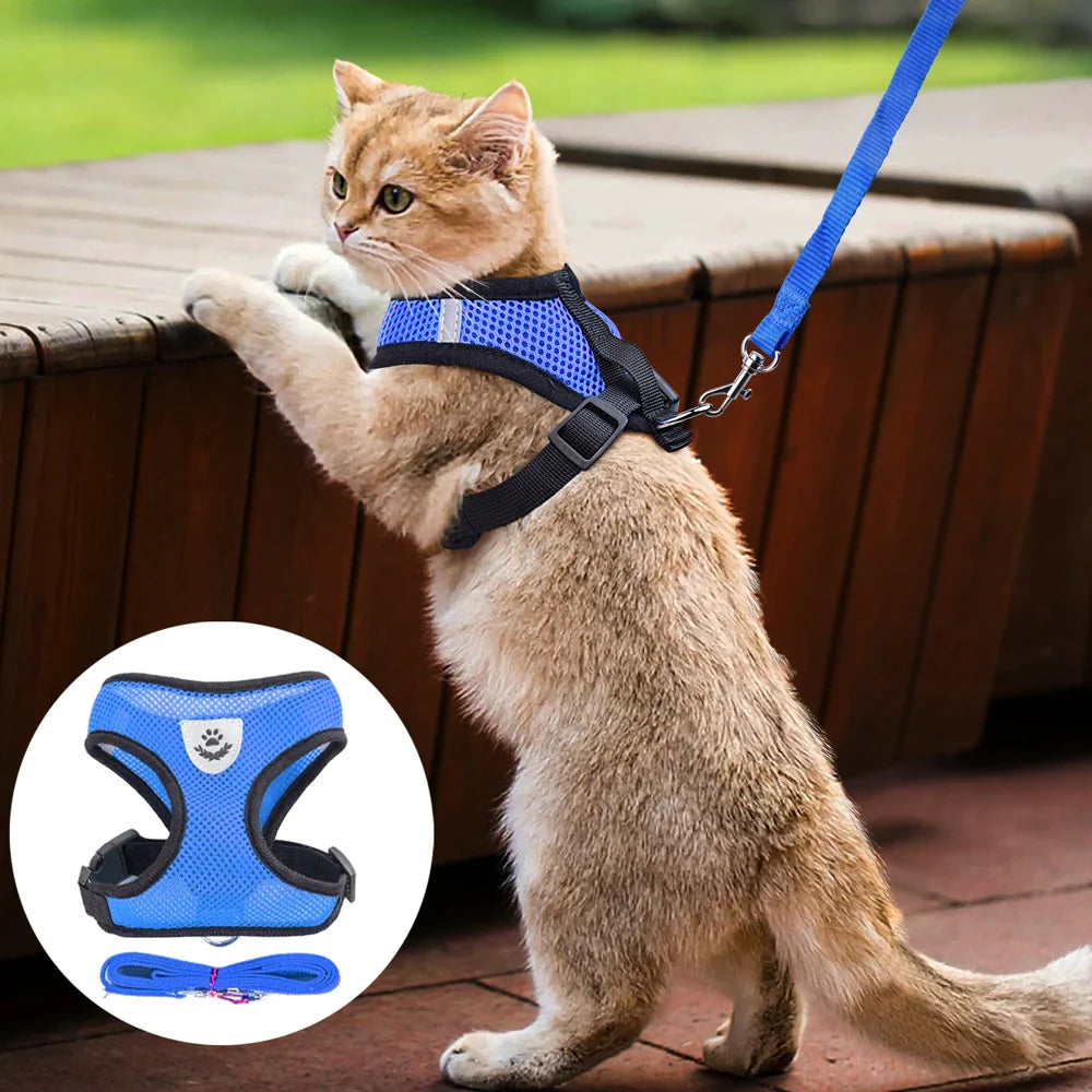 Reflective adjustable pet harness 