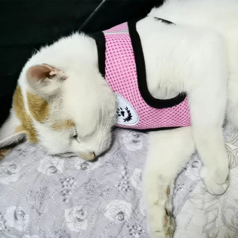 Reflective adjustable pet harness 