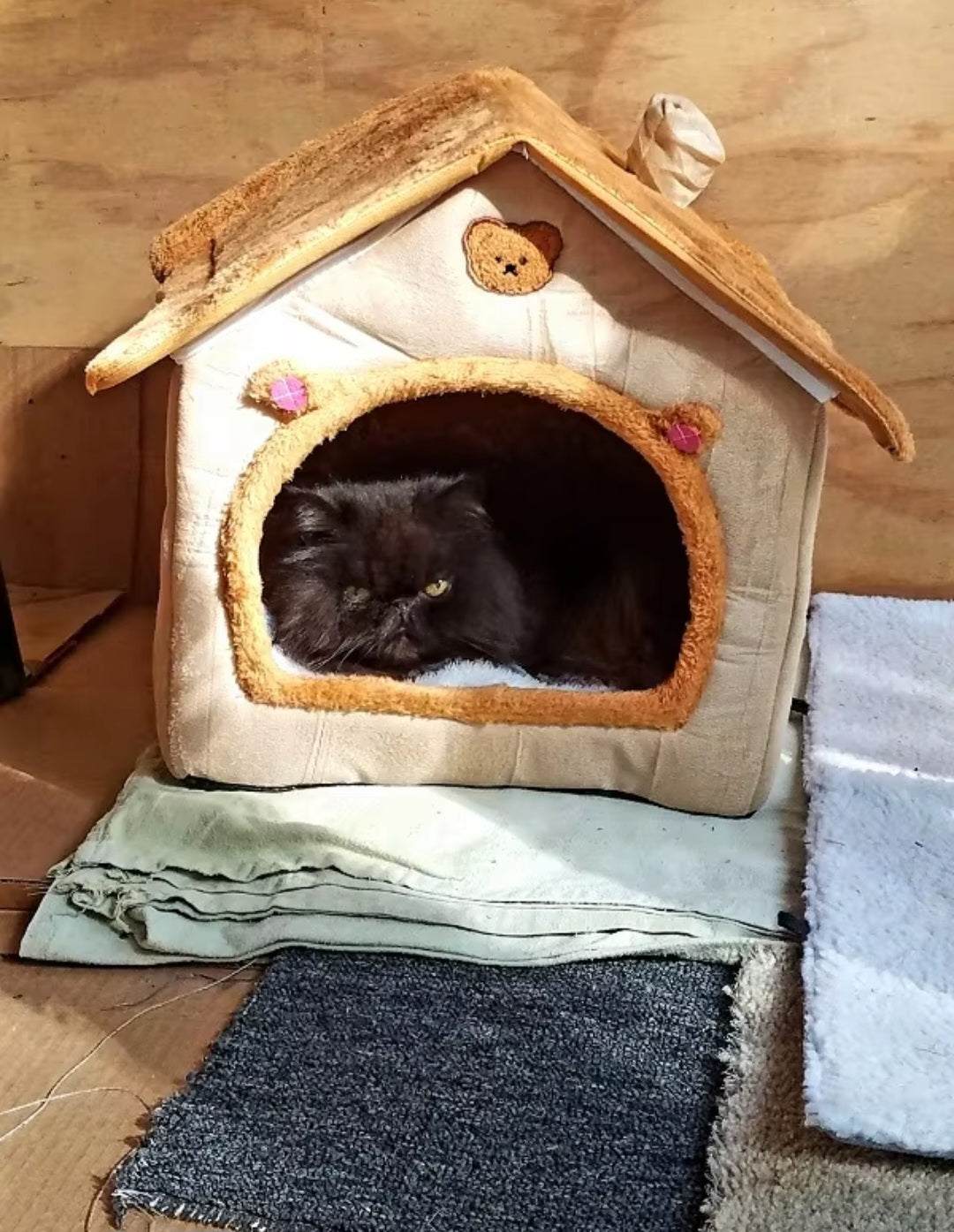 Foldable and washable Pet House